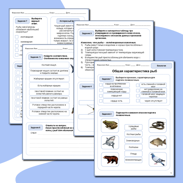Рабочий лист по биологии 