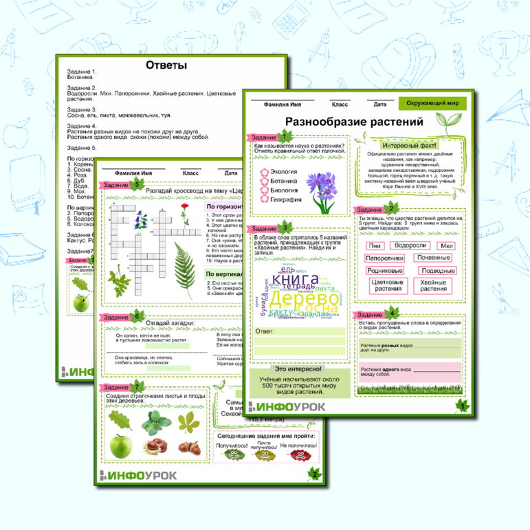 Рабочий лист «Разнообразие растений» Окружающий мир 3 класс