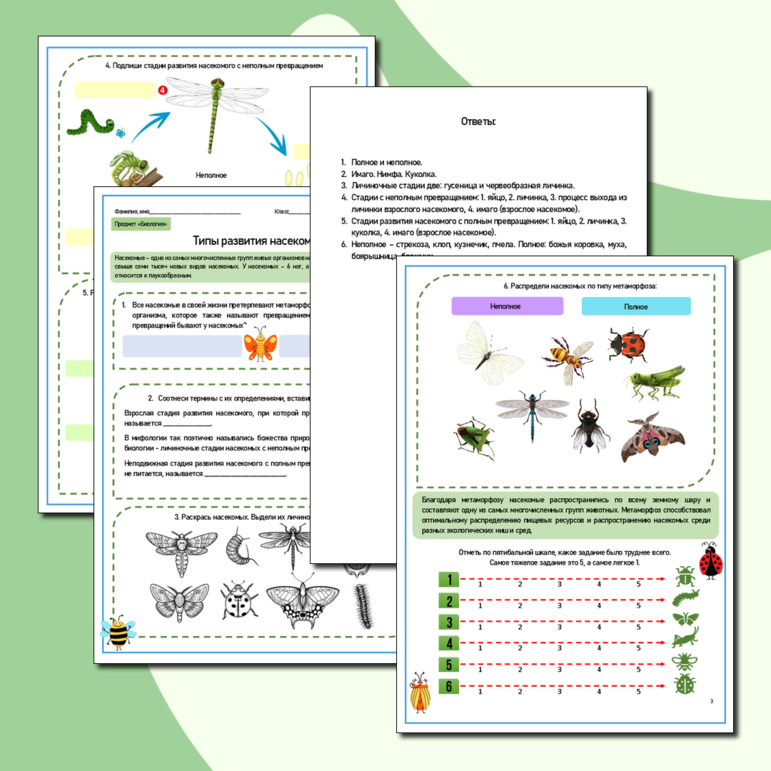 Рабочий лист по биологии «Типы развития насекомых. Метаморфоз насекомых».