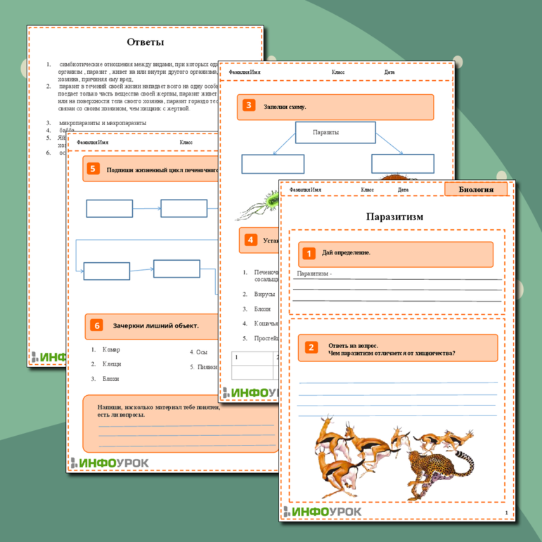 Рабочий лист «Паразитизм»