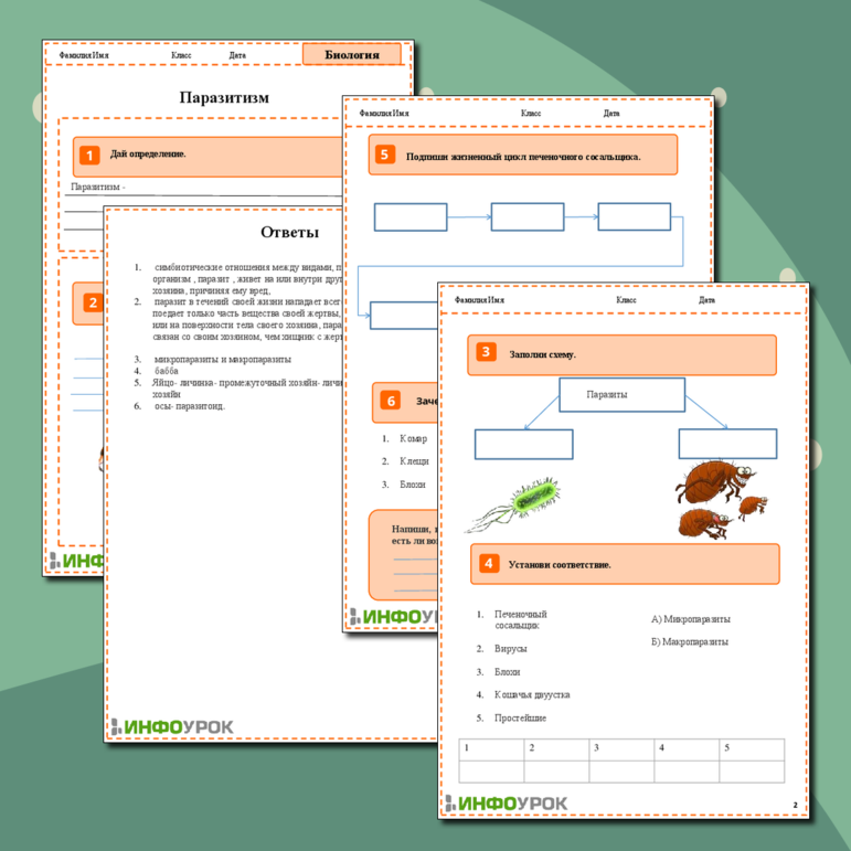 Рабочий лист «Паразитизм»