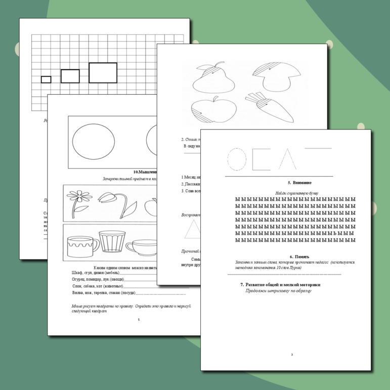Тетрадь дефектологического обследования