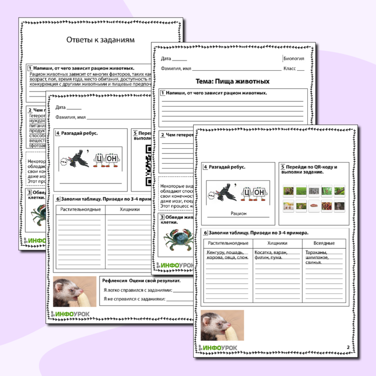 Рабочий лист по биологии 