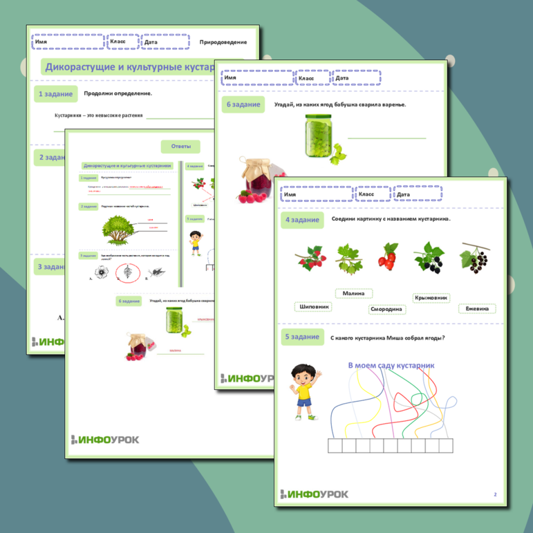 Рабочие листы по природоведению - растения.