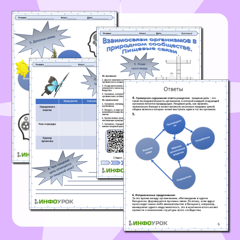 Цепи питания. Круговорот веществ в природных сообществах (5–8 кл.)