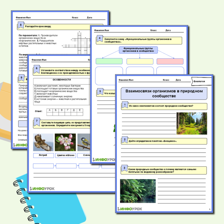Рабочий лист по биологии 