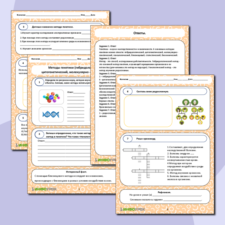 Рабочий лист «Методы генетики (гибридологический, цитогенетический, молекулярно-генетический)»