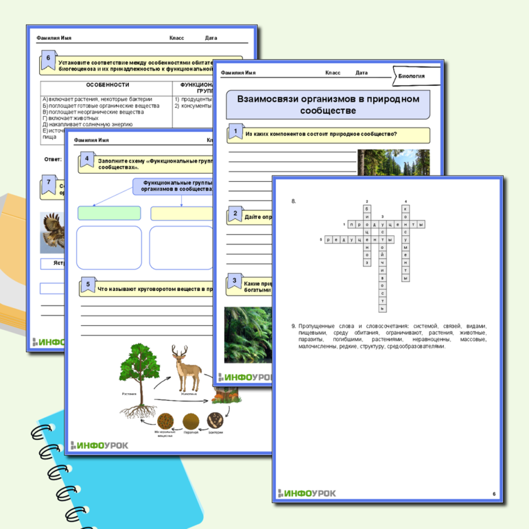 Рабочий лист по биологии 