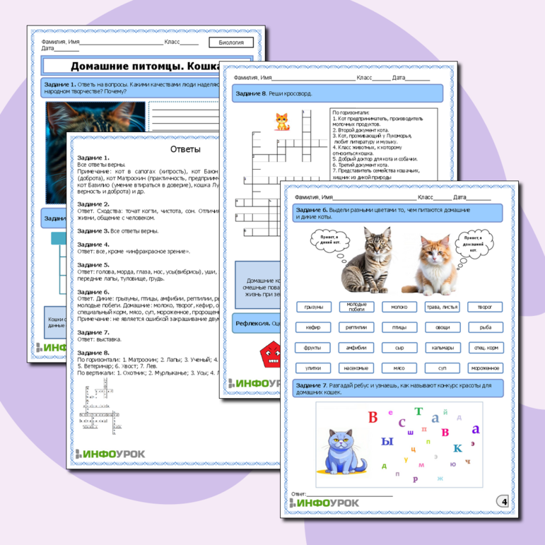 Рабочий лист по биологии. Домашние питомцы. Кошка.