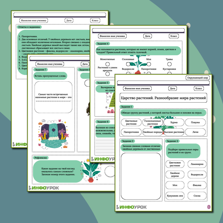 Рабочий лист «Царство растений. Разнообразие мира растений»