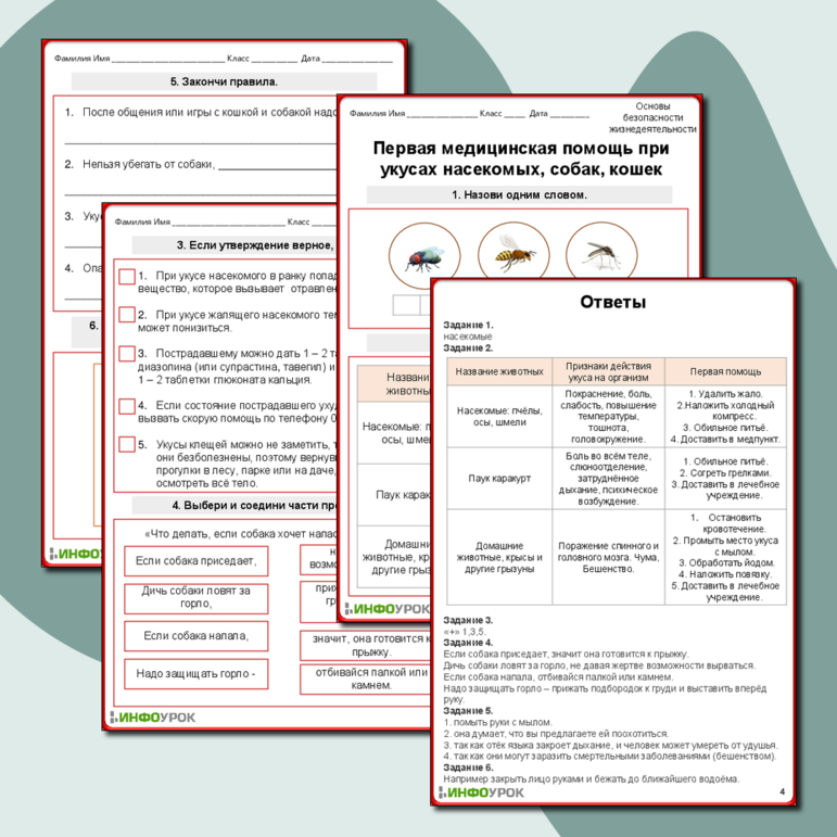 Рабочий лист по основам безопасности жизнедеятельности «Первая медицинская помощь при укусах насекомых, собак, кошек»