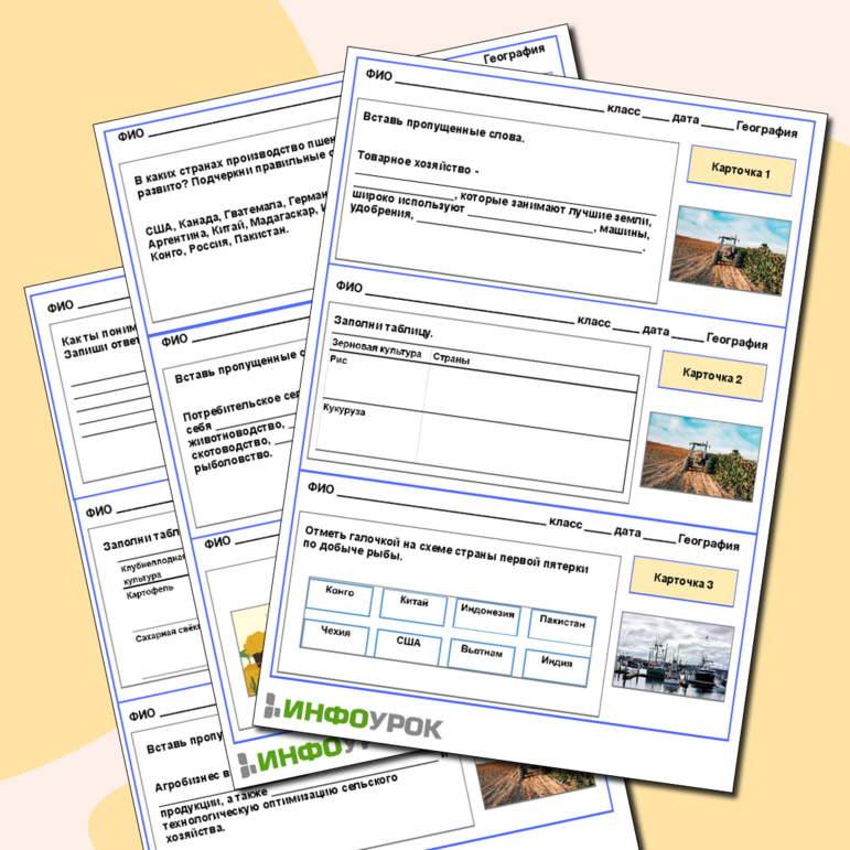 Карточки-пятиминутки по Географии. Тема: «Сельское хозяйство»