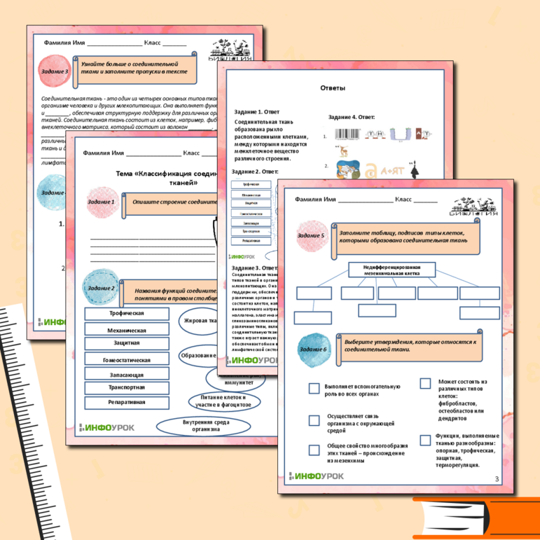 Рабочий лист для биологии по теме 