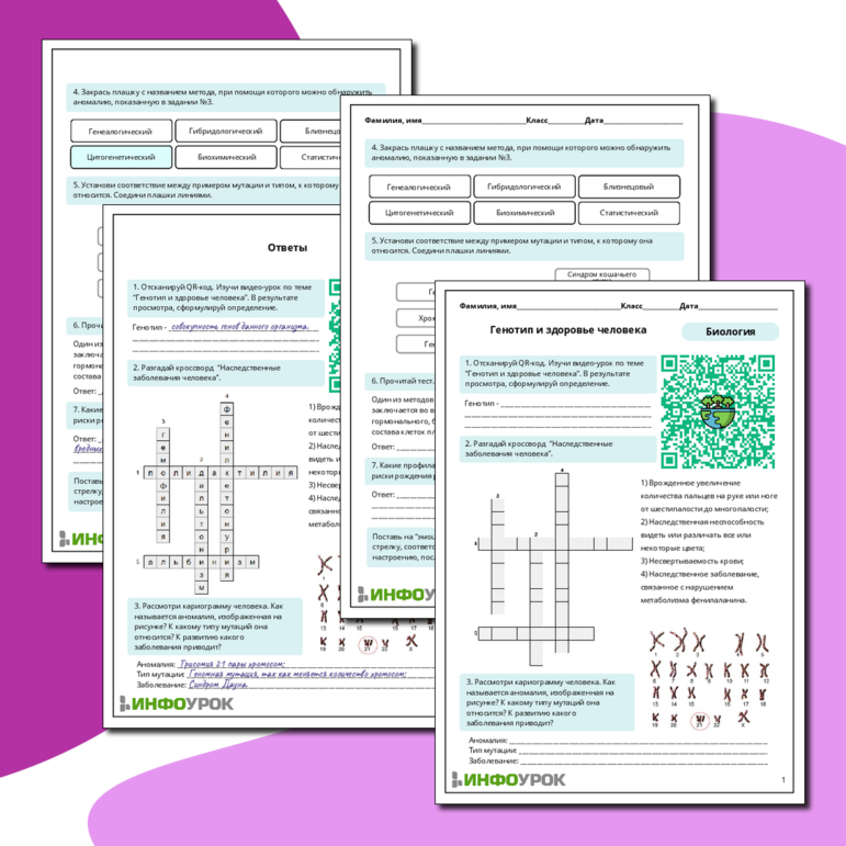 Рабочий лист по биологии: Генотип и здоровье человека
