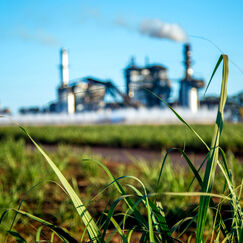 Промышленная экология и экологическая безопасность