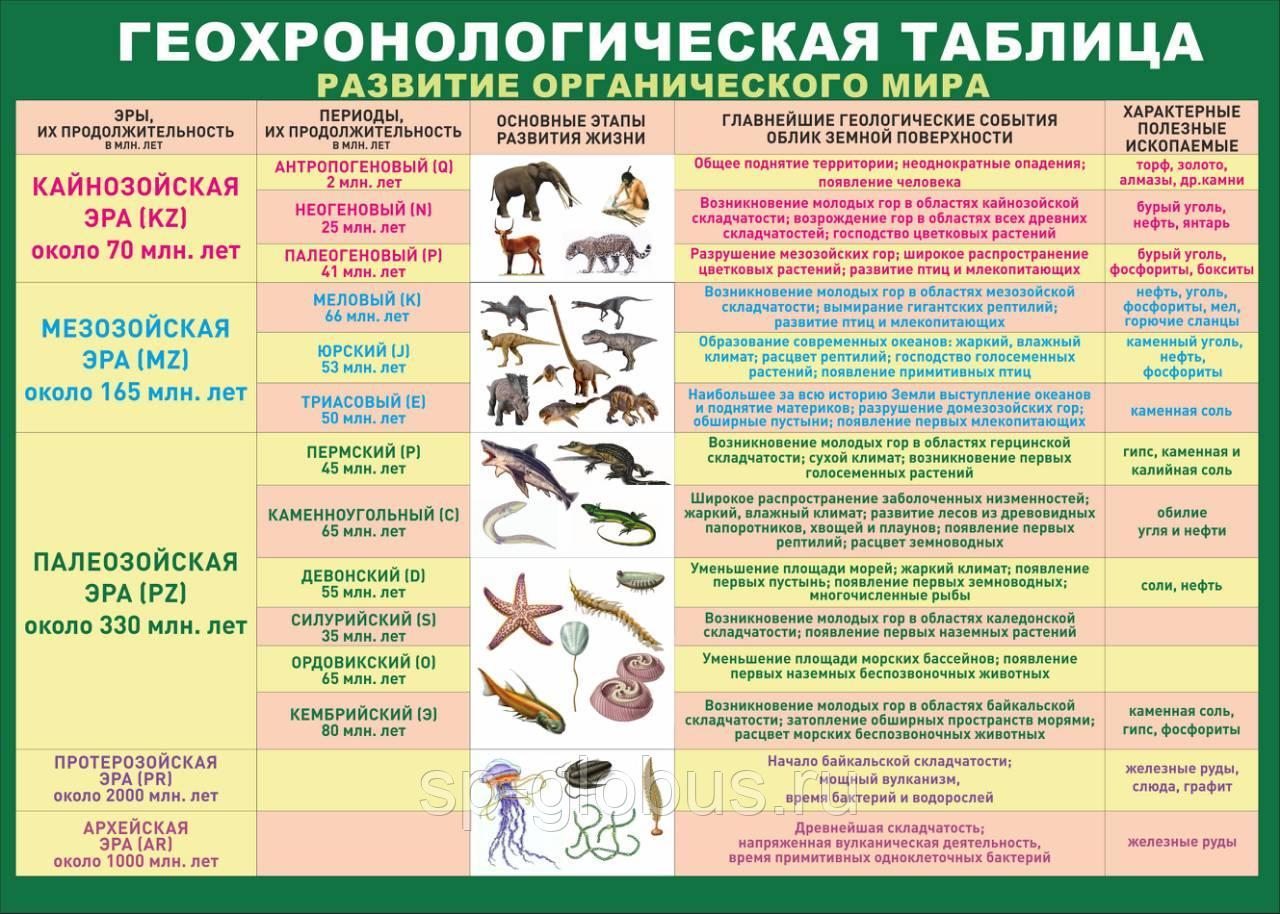 Презентация на тему этапы эволюции органического мира