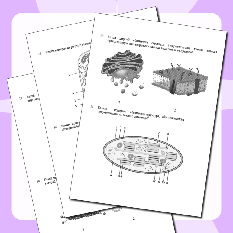 Тренажер по клетке ОГЭ/ЕГЭ. Биология.