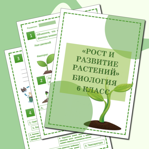 🌺 Значение и язык цветов: Герань мадейранская и её символизм