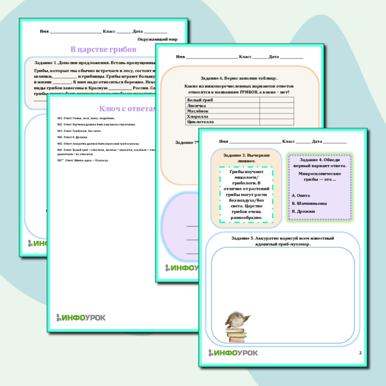 Рабочий лист «В царстве грибов»