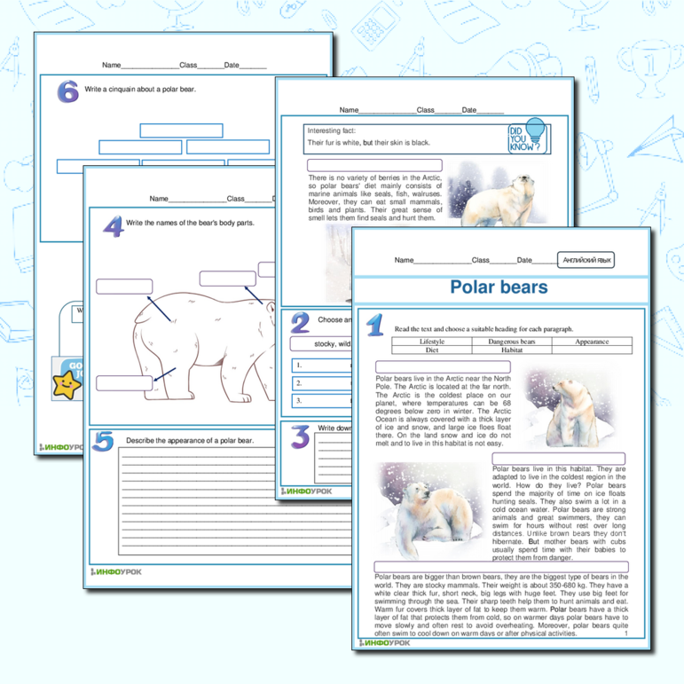 Рабочий лист по английскому языку на тему Polar bear к Spotlight 5