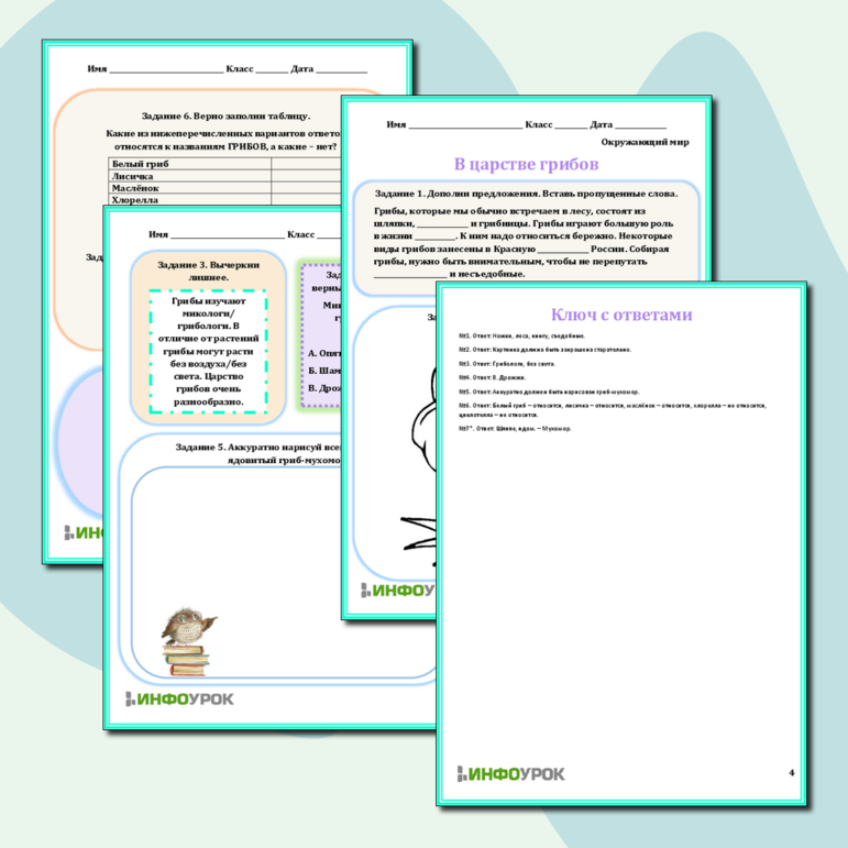 Рабочий лист «В царстве грибов»