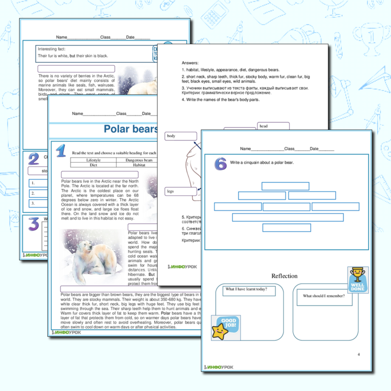 Рабочий лист по английскому языку на тему Polar bear к Spotlight 5