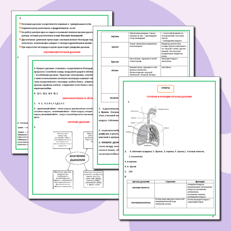 Рабочая тетрадь по биологии «Дыхательная система», 8-9 класс