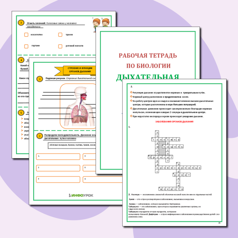 Рабочая тетрадь по биологии «Дыхательная система», 8-9 класс