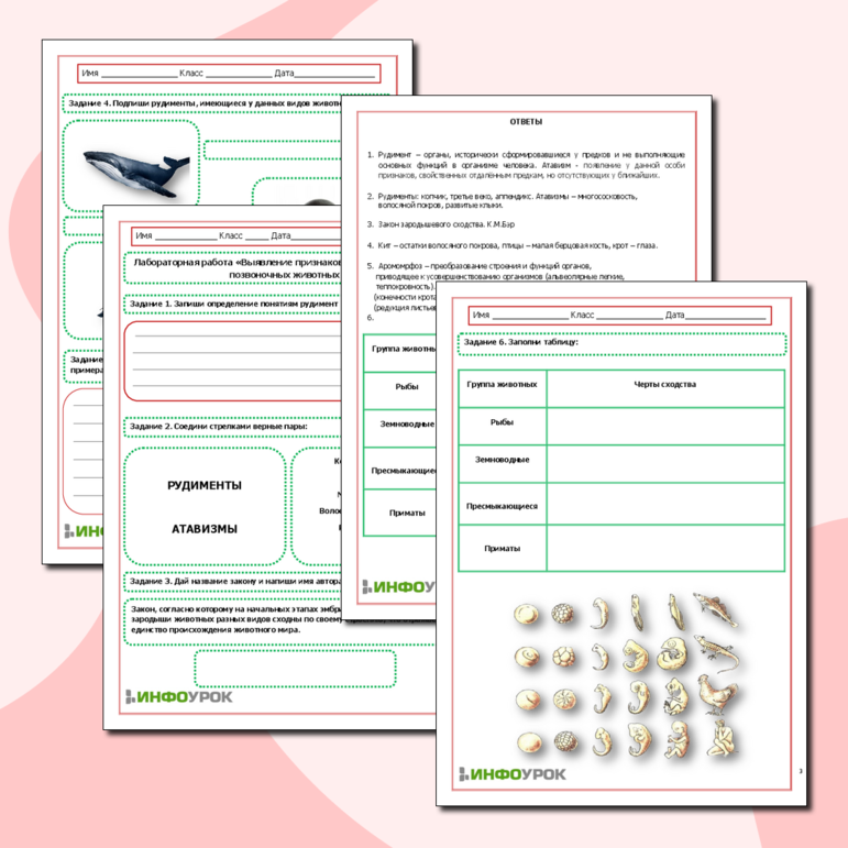 Рабочий лист по биологии. Лабораторная работа «Выявление признаков сходства зародышей позвоночных животных»