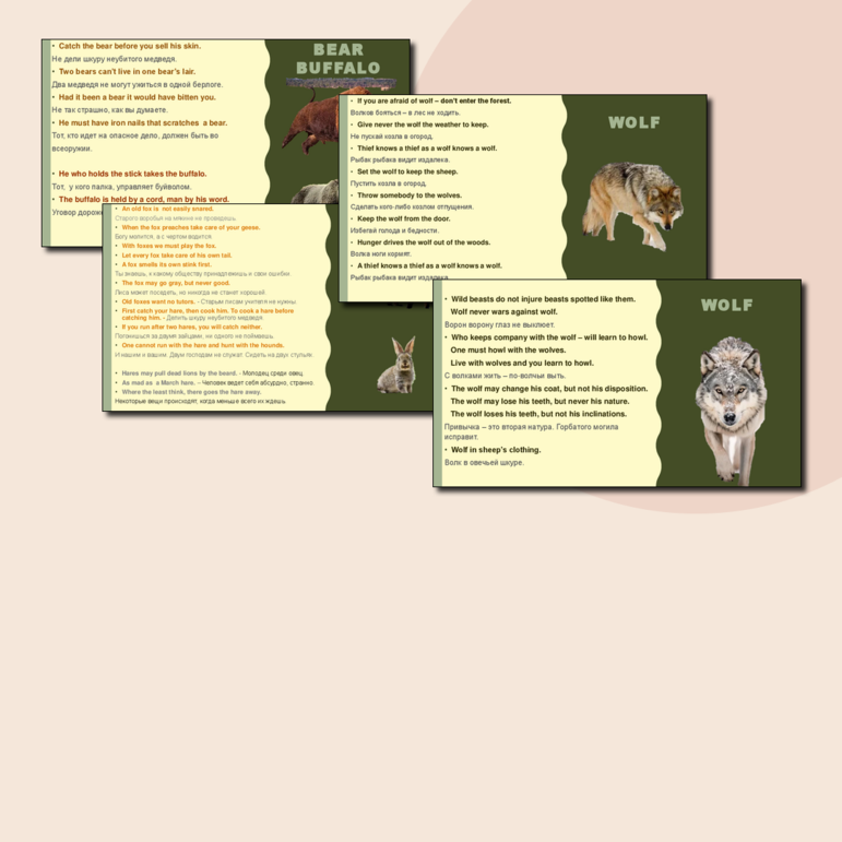 Сборник материалов для английского языка № 5 Дикие животные из цикла Животные