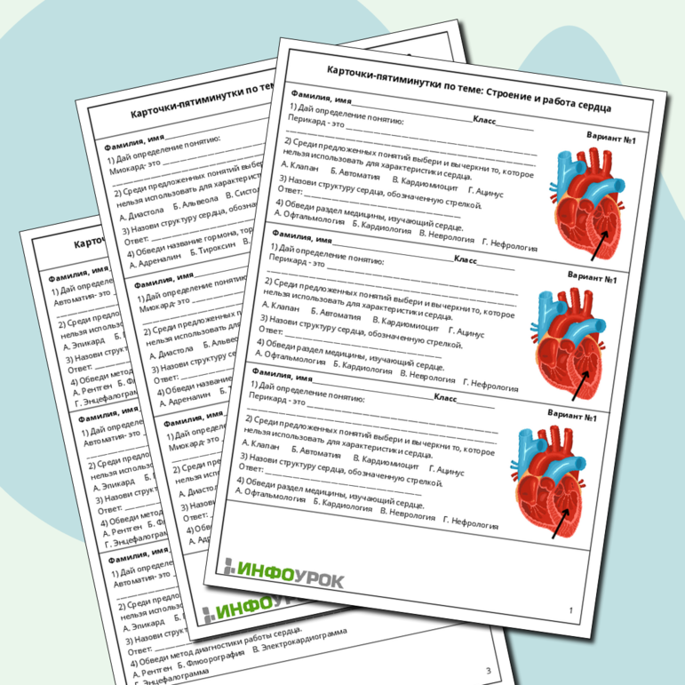 Карточки-пятиминутки по биологии: «Строение и работа сердца»