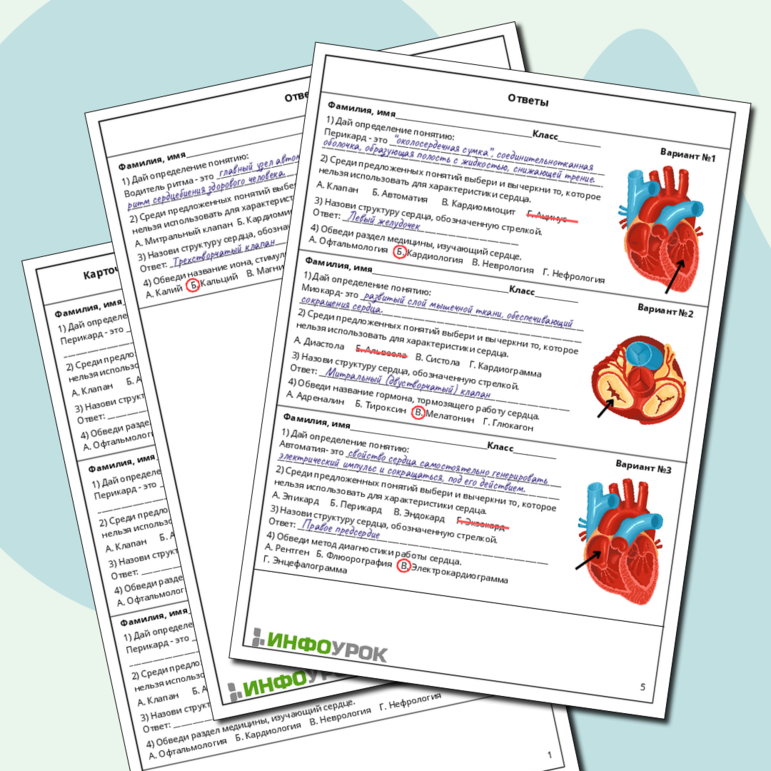 Карточки-пятиминутки по биологии: «Строение и работа сердца»