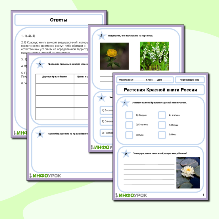 Рабочий лист по Окружающему миру на тему «Растения Красной книги России»