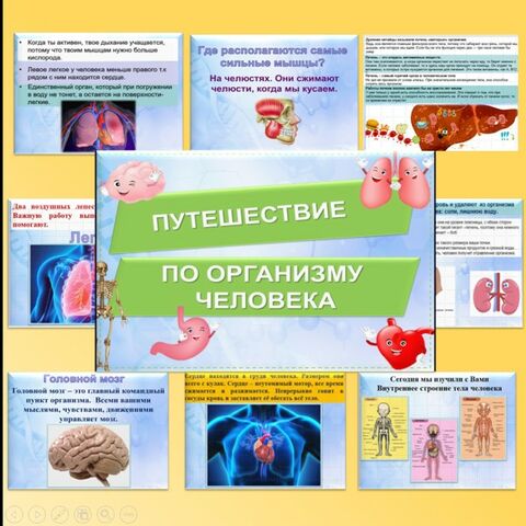 Есть ли вред от сотового телефона? | Экология сегодня