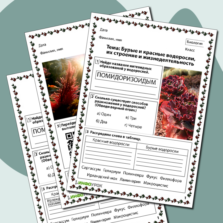 Рабочий лист по биологии «Бурые и красные водоросли, их строение и жизнедеятельность»