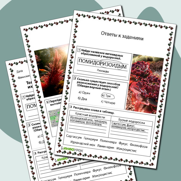 Рабочий лист по биологии «Бурые и красные водоросли, их строение и жизнедеятельность»