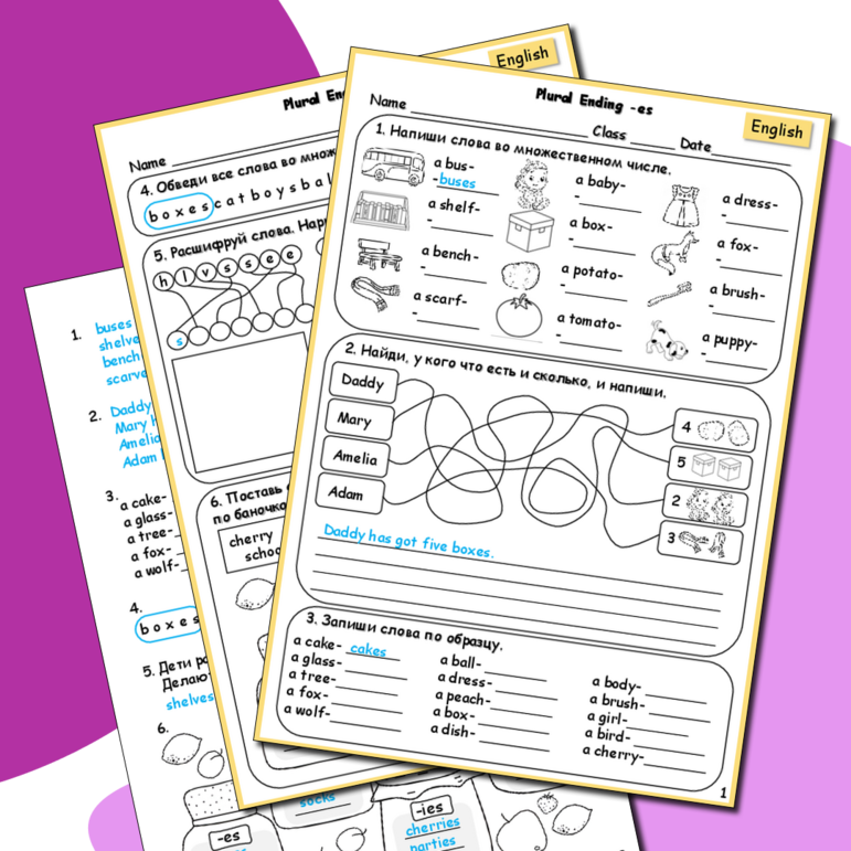 Рабочий лист по английскому языку «Plural Ending -es (Окончание мн. ч. существительных -es)»