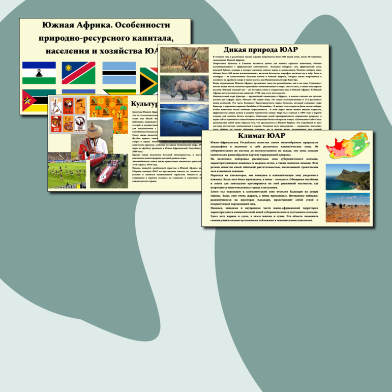 Презентация по географии для 11 класса «Южная Африка. Особенности природно-ресурсного капитала, населения и хозяйства ЮАР»