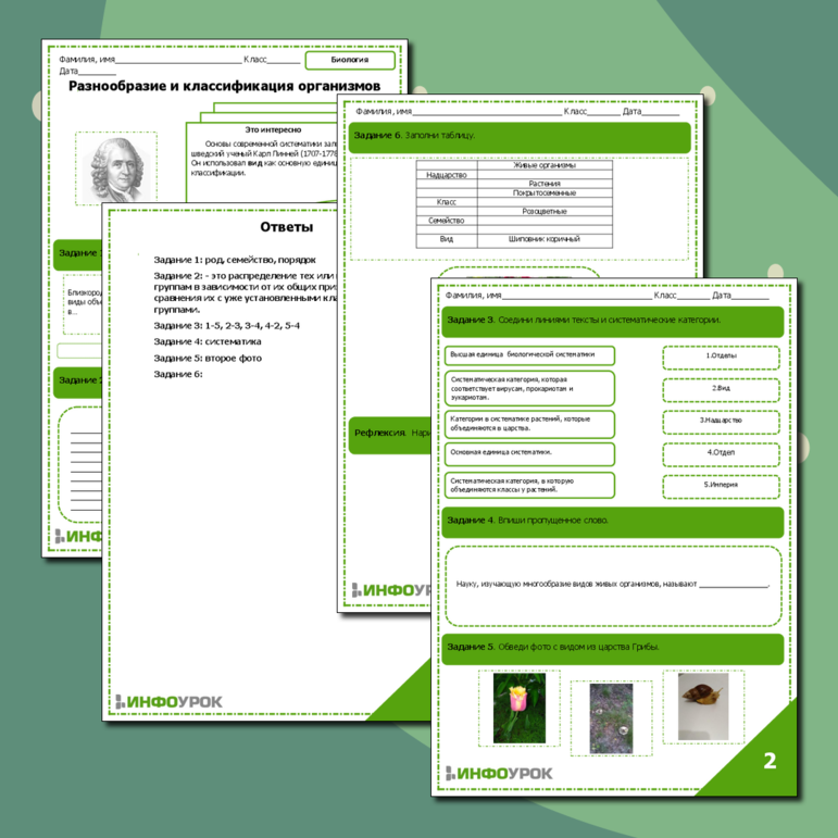 Рабочий лист по биологии в 5 классе. Разнообразие и классификация организмов.