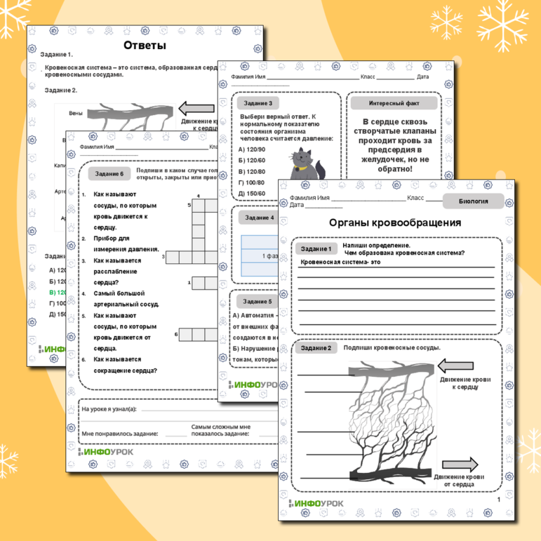 Рабочий лист по биологии «Органы кровообращения»