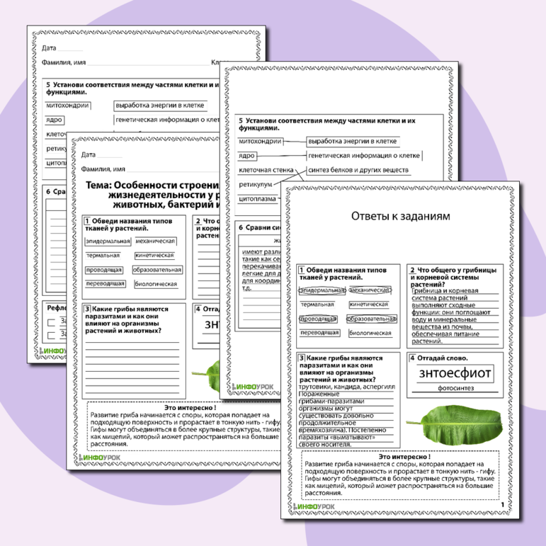 Рабочий лист по биологии 