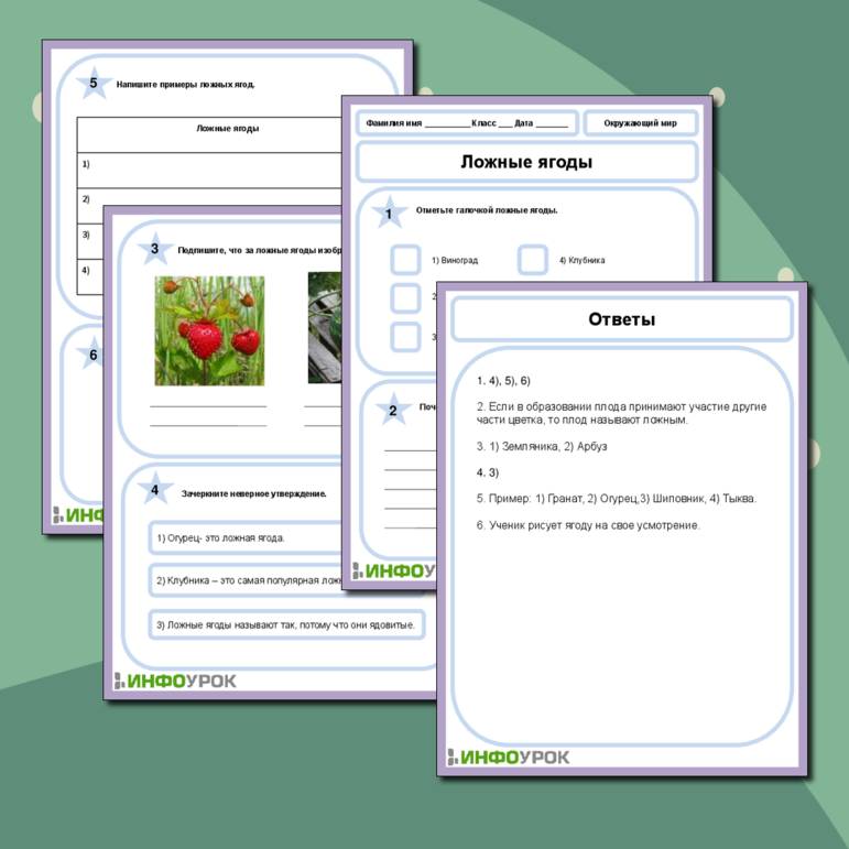 Рабочий лист по Биологии на тему «Ложные ягоды»