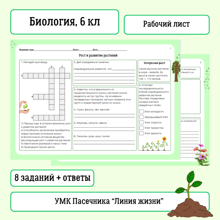 Рабочий лист по биологии: Рост и развитие растений, 6 класс, к УМК В.В. Пасечника 