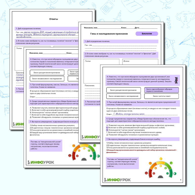 Рабочий лист по биологии: Гены и наследование признаков