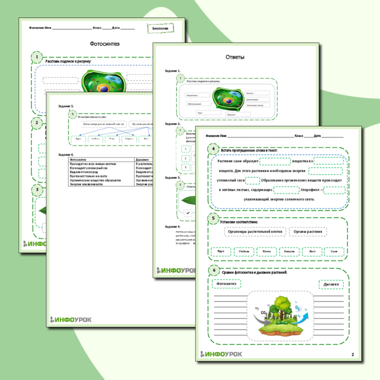 Рабочий лист по биологии 