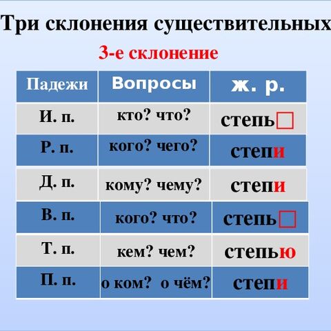 « Падеж и три склонения имён существительных»