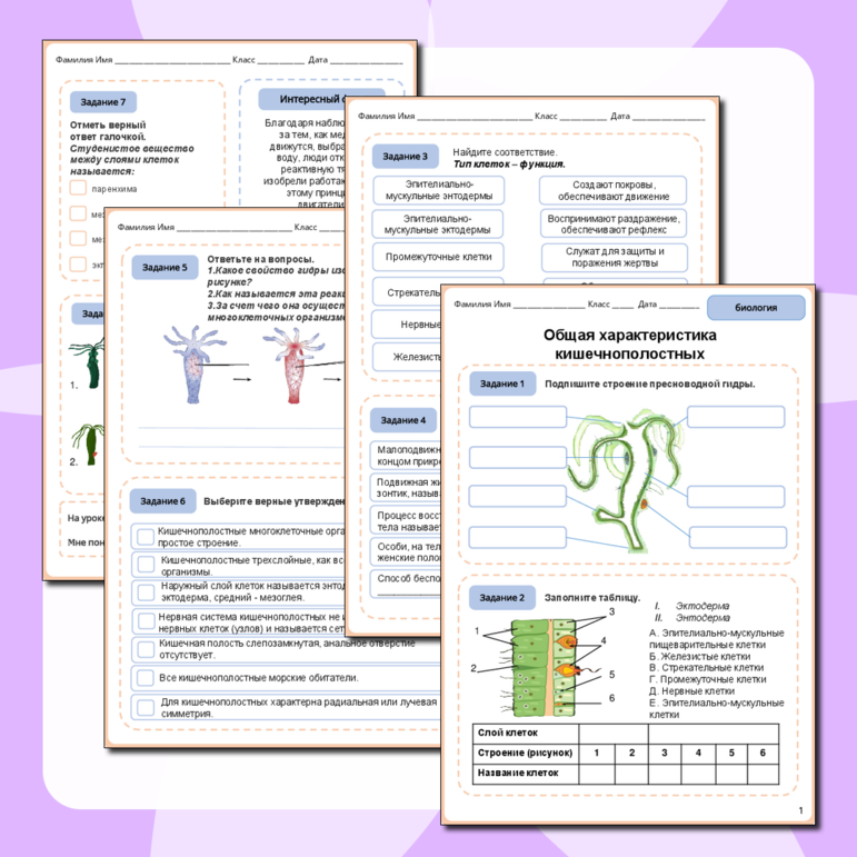 Рабочий лист по биологии 