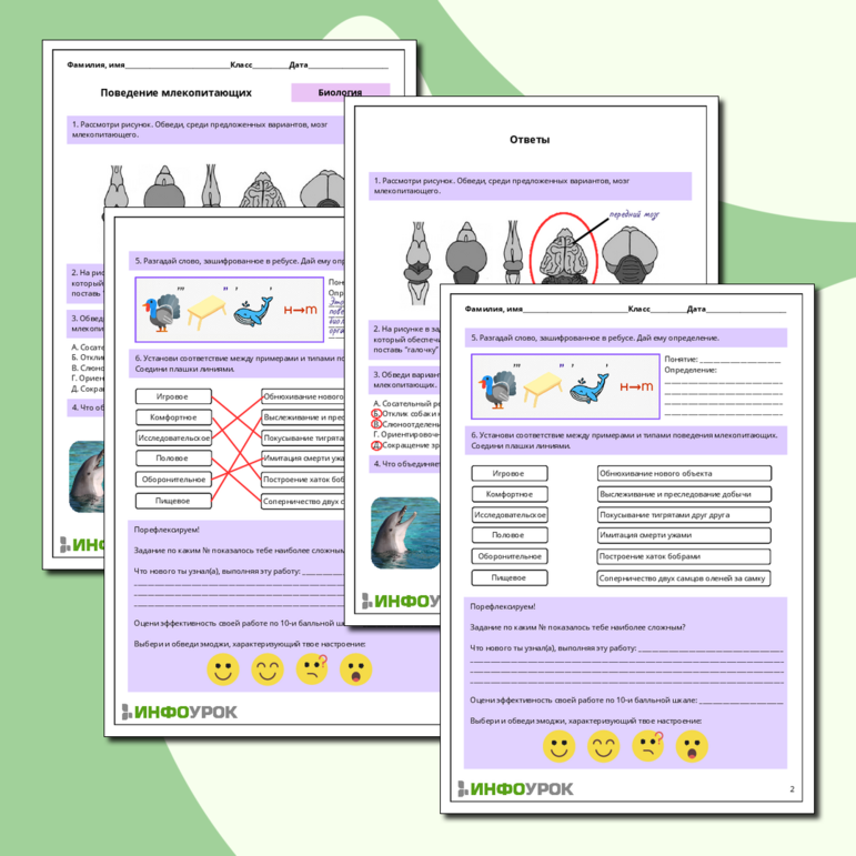 Рабочий лист по биологии 
