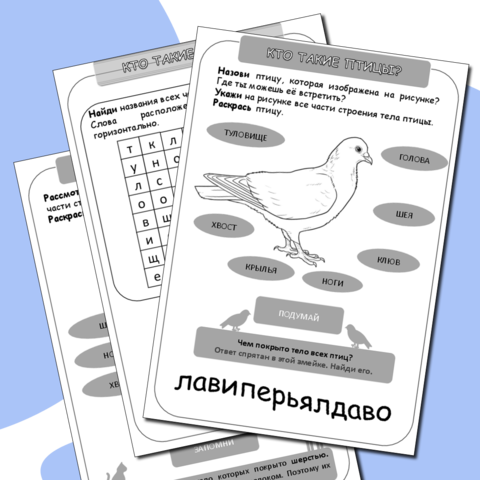 https://infourok.ru/igra-praktikum-kakie-byvayut-zhivotnye-proverochnaya-rabota-1-klass-5566822.html