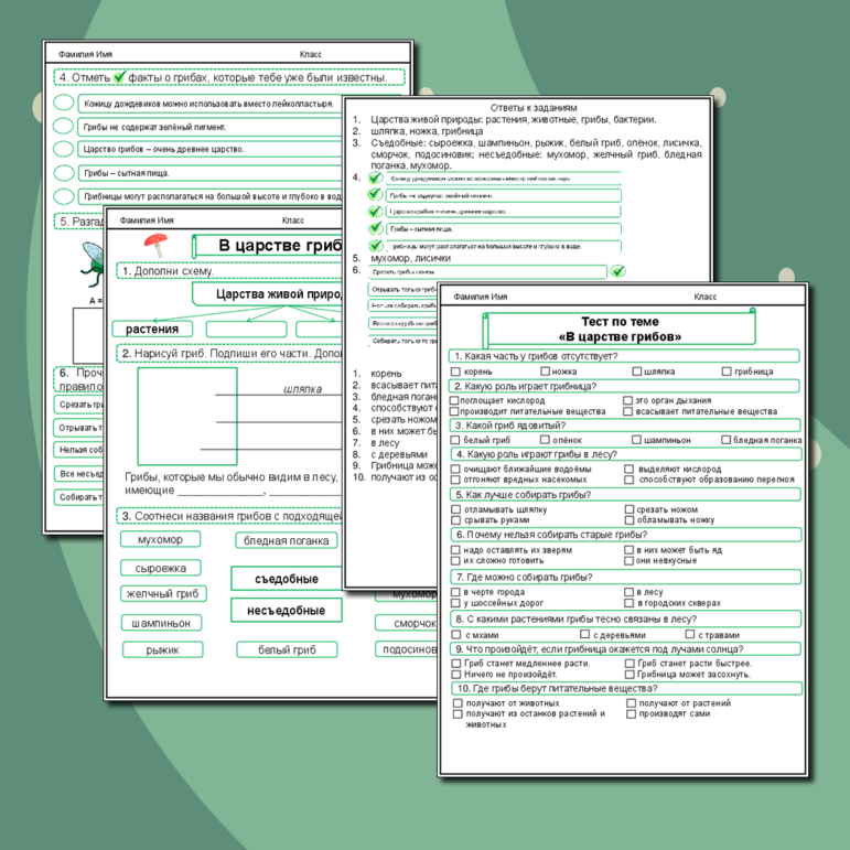 В царстве грибов. Рабочий лист по окружающему миру для 3 класса. (Рабочий лист + тест по теме + ответы)